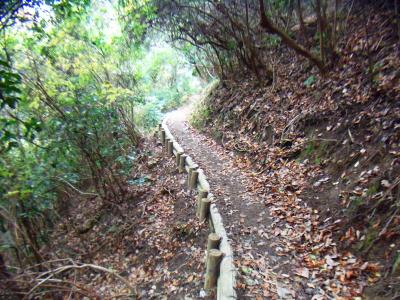 登山道はさらに続く