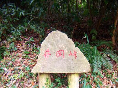 井関峠と石に彫られていた。ここまでする必要があったのかは別として・・・