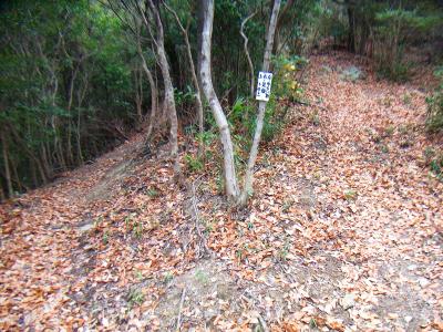 左はゆるくて右は急坂の分岐。どっちも同じところに行けるらしいけど、楽なほうを行こう