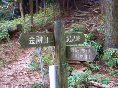 久留野峠に到着。ここで紀見峠のほうへ行く