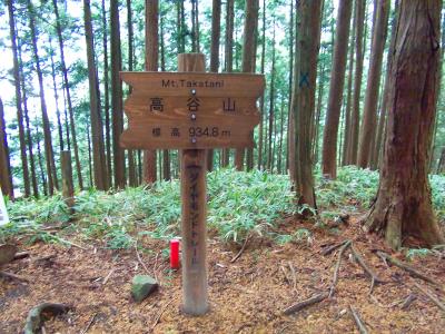 高谷山(934.9m)に到着。登山道の途中にある山頂といった感じだろう
