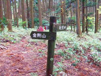 ここで東條山に行きたいので少しルートから外れるが、ここであってるのかな！？