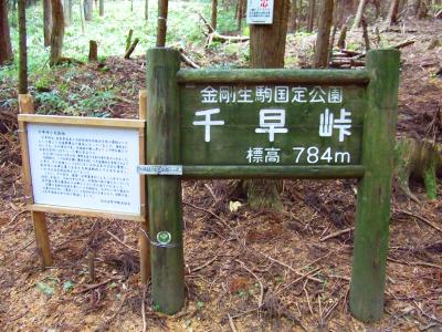 千早峠に下りてきた。本当はここからダイトレを外れて東條山に行く