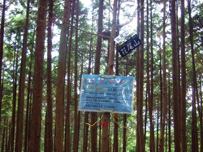 ピークだと思われるところをテープ頼りに尾根伝いに登ったら花尾山山頂(802m)というプレートがあった。ここではなかった