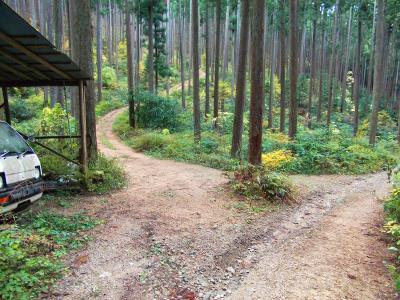 花尾山から戻って少し下っていくと軽トラがあり左側に道があった。おそらくこの上のピークが東條山だろうと思って登っていく