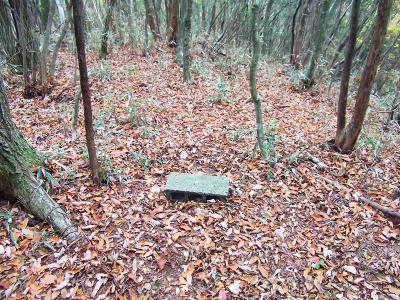 東條山の山頂にはブロックが一つ置いてあっただけ。これの意味はわからなかったけど他には何もなかった