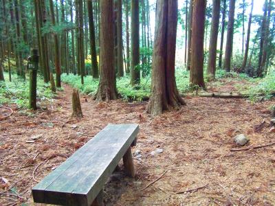 千早峠に戻って椅子に座って休憩。今日は紀見峠までは無理っぽいな