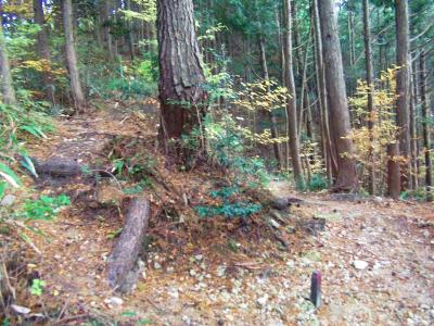 神福山を後にして、続いてタンボ山を目指す