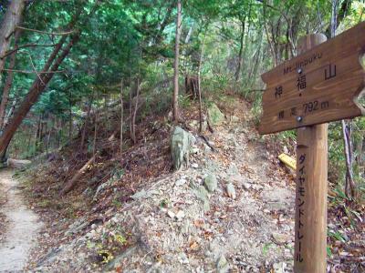 ダイヤモンドトレールの神福山の看板を後にして先を進む