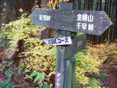 このままだと時間的に紀見峠までは行けないのでどこかで下りないといけない。とりあえず紀見峠方面へ向かう