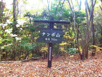 ダイトレの途中にタンボ山の看板があった。本当の山頂はちょい上のほうかな