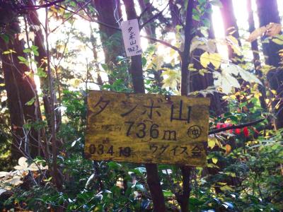 ここがタンボ山山頂(736m)になる。ピークハントしておかないと、もうこんなところ来ることないだろう
