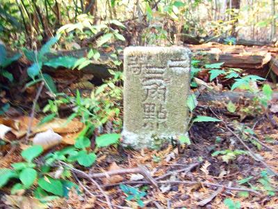 タンボ山には三角点もあった