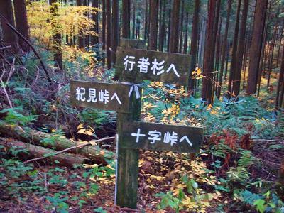 ここで紀見峠に行かず十字峠から天見に下りることにした