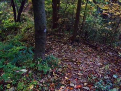 十字峠のほうへ下っていくと、十字路になっており、左側から降りていくとワープできるみたい。これの手前の木に標識があり、左にいくとワープできると書いていたので従って左側へいった