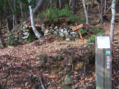 やはり炭焼窯跡だった。昔の人はここで炭焼してたんやね