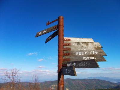 何度見ても面白い立て札というか看板だな