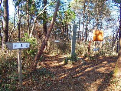 横尾山に向かう途中にキャンプ場との分岐点がある