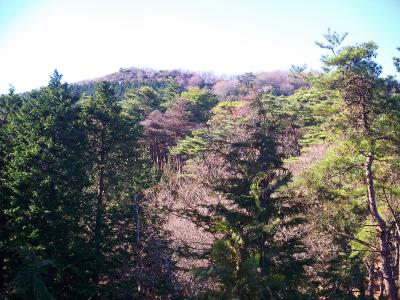 一旦下る途中で見える横尾山のピーク。登り返しがあるのか・・・