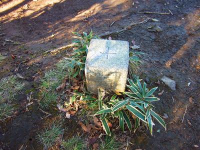 横尾山の山頂三角点があった