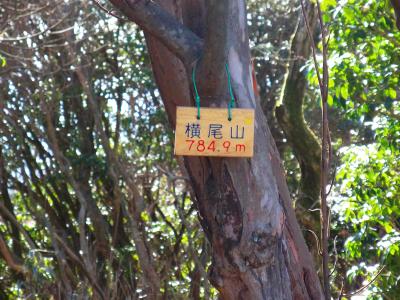 横尾山山頂(784.9m)に到着