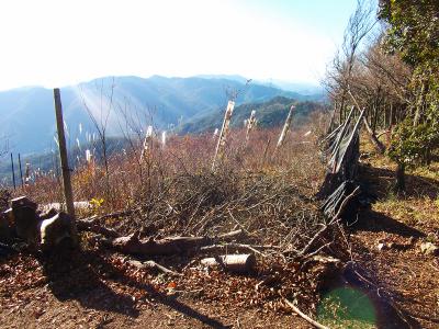 鹿避けフェンスでどっちか迷いがちだが、地図では南側、つまりここの左側を下るのが正解。左側の木にテープがはっていた