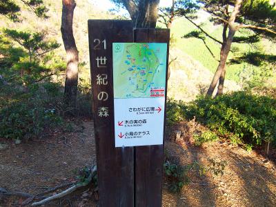 21世紀の森。さわがに広場と小鳥のテラスとの分岐点。今回は時間もおしていたので急下りになるが、ここでさわがに広場のほうへ下る