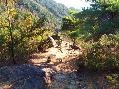 最初はこういうい岩場の道が続くが・・・