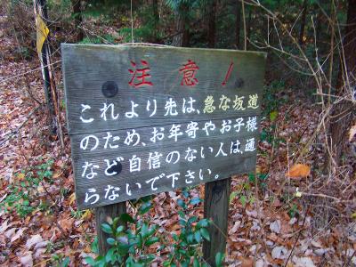 確かに急な下りであったが、標識にするぐらいまでだったかと思うけどね