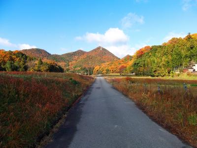 晴天でグッドな景色だな。この坂を上っていく。しばらく道路歩きが続く