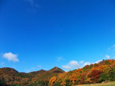 真っ青な空と紅葉が美しい