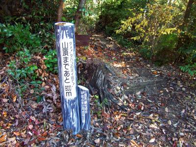 虚空蔵堂からさらに800mで山頂のようだ。ここから少し急登になる