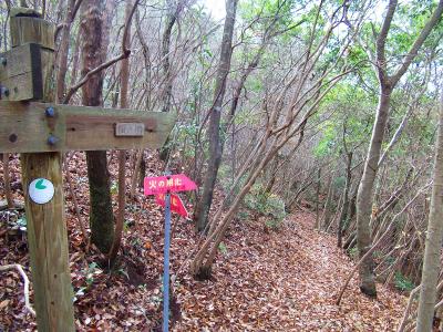 そのまま八王子山へ向かう途中、また陶の里への分岐があった
