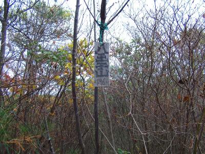八王子山の山頂(496m)に到着