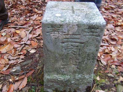 八王子山の山頂には三角点があった