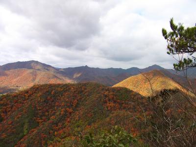 向こう側に槍ヶ岳のような山があった。あの山は何だろうと後で必死に調べてみた