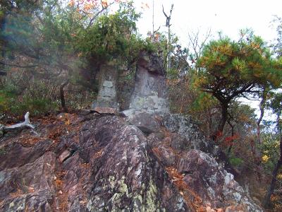 下山途中にあった石に作られた像かな？これも何のかわからないけど、意味があるんだろうね