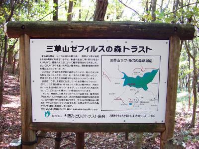 三草山ゼフィルスの森らしい。植林じゃなかったのかな！？