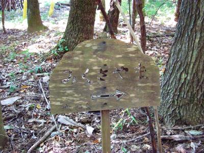 みくさ山への案内看板があった。ずいぶん古いねえ