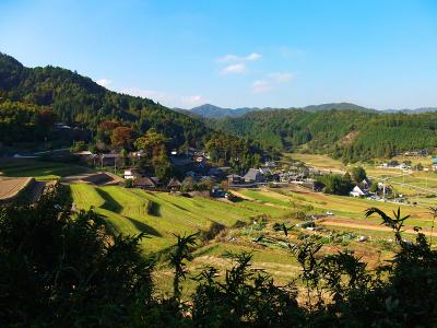 これが長谷の棚田かな！？棚田にしてはちょっと規模が小さい気もしたけど・・・ここから駐車ポイントまで道路を歩いて戻って行った