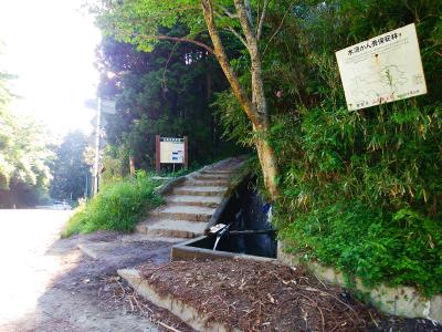ここが水越峠の登山口、つまりダイヤモンドトレールの入口。ここを入っていく