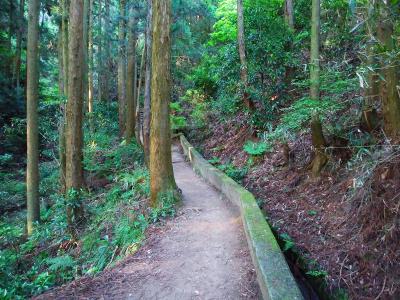 最初はなだらかな道が続く。余裕をかましてたら後でしんどい思いをすることはわかっていた