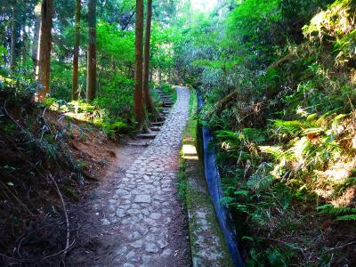 この先くらいから階段になる