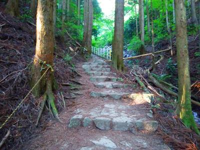 ここからまず石の階段がはじまるけど、最初のほうはそこまでしんどくない