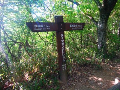 ここまできて息切れ状態なのに、まだ水越峠から0.6kmしかきてないのね