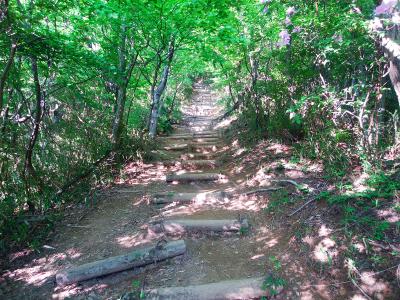 どれだけ続くんだこの階段！ってくらい長い