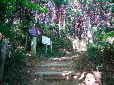 この利用マナーの看板のところまで登ってくると一旦、階段は落ち着く