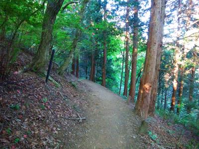 平坦な道で息を整えておくけど、また階段がはじまることはわかっている