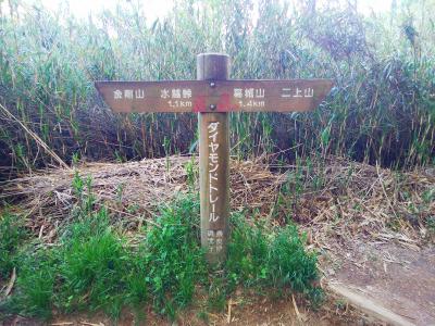 ここで半分だと思ったらまだ1.4kmもある。でもここまできたらあともうひと頑張り！