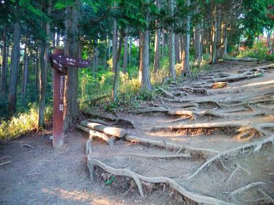 この道標の辺りでちょうど距離は半分くらいかな。でもコースタイム的にはここから楽になるので半分以上はきている